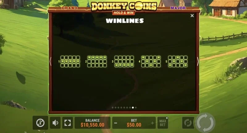 Donkey Coins Hold & Win - ชนะรางวัลใหญ่ในโหมดพิเศษ